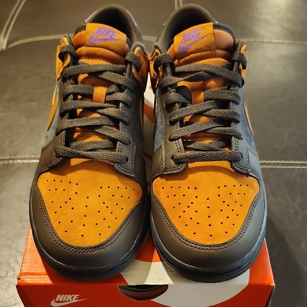 New- Never Worn Nike Dunk Low “Cider”